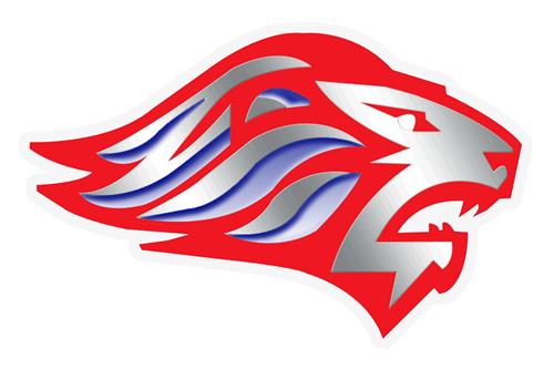 Lions!! 
